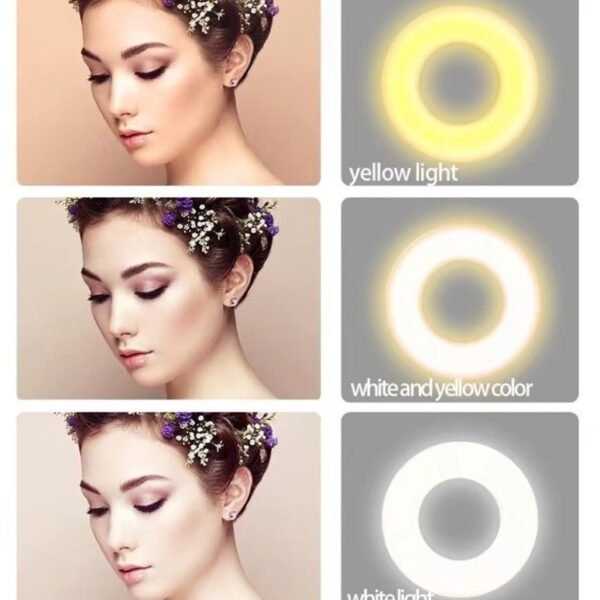 Mini LED Three-gear Adjustable Magnetic Fill Light - Image 4
